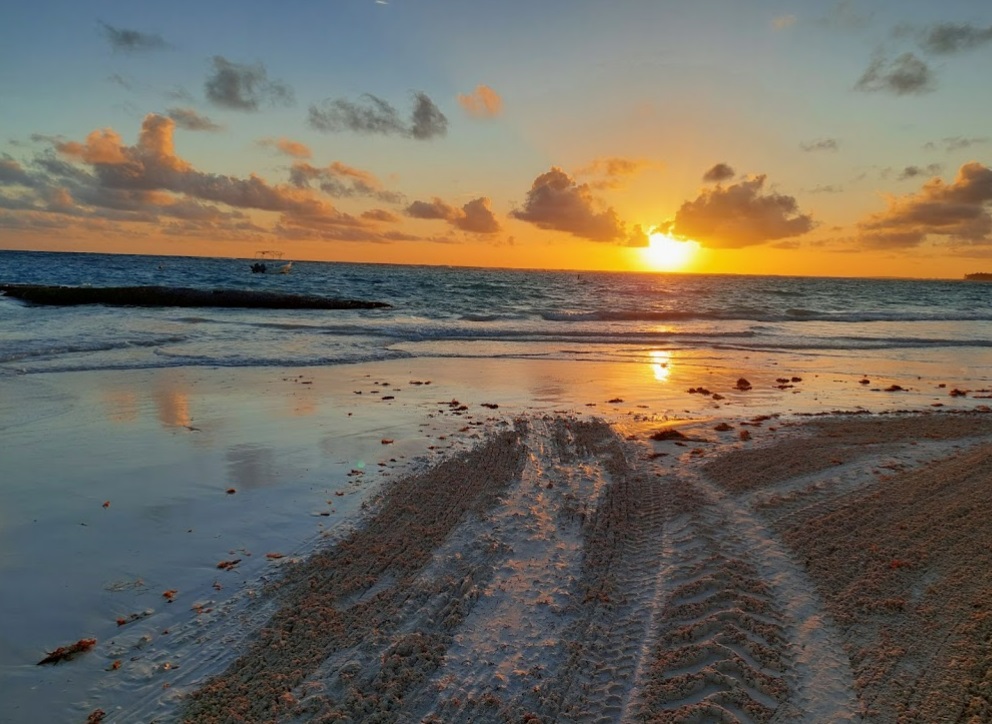 Playa Cortecito